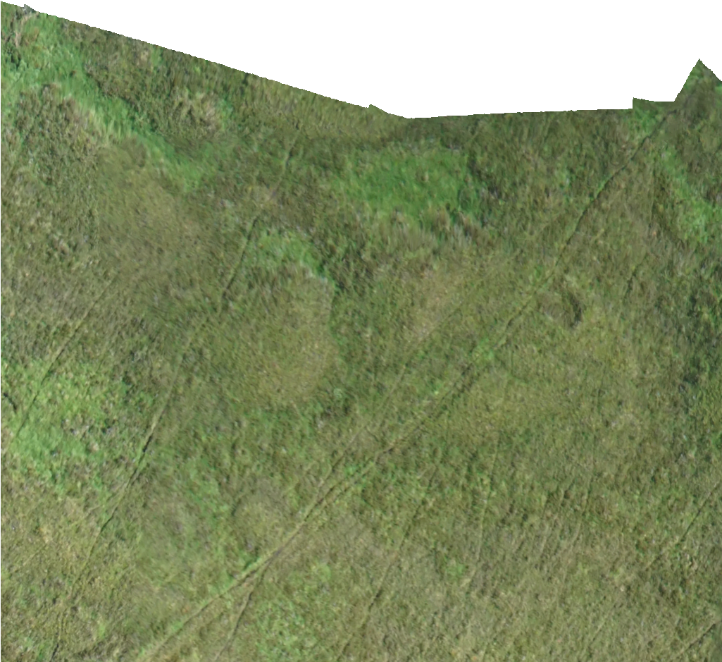 Kml Href, E0101 - Grass (1024x1024), Png Download