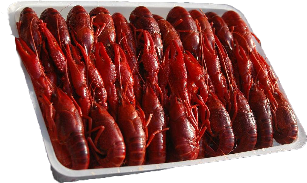 Leather (1014x606), Png Download