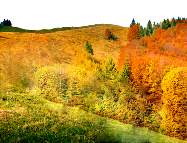 Mdl 1 - Grass (600x600), Png Download