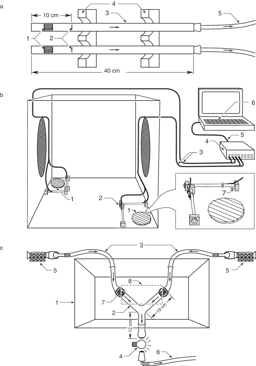 Set Up For Experiments 1 - Line Art (850x1215), Png Download