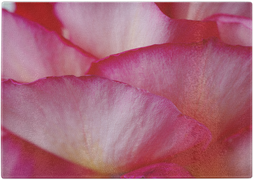 Pink Petals Glass Cutting Board - Japanese Camellia (1024x1024), Png Download