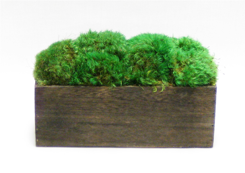 - Wooden Rect Short Container Brown Stain - Grass (800x800), Png Download