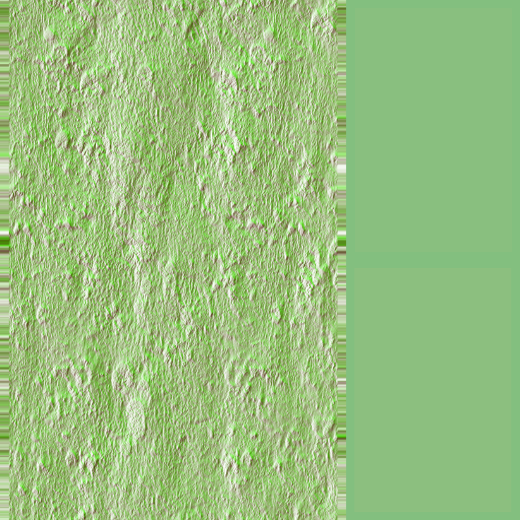 Normal Specular - Grass (1024x1024), Png Download