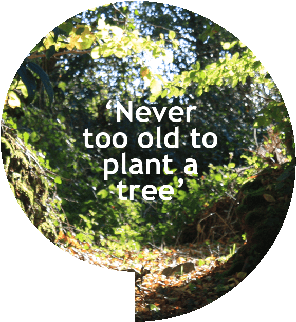 Never Too Old To Plant A Tree - Label (640x640), Png Download