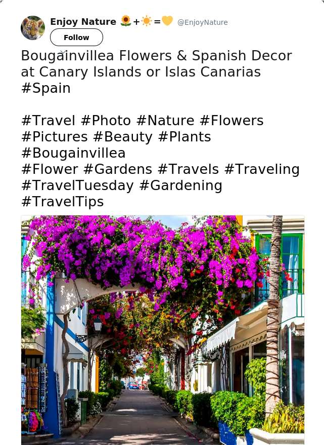 Bougainvillea Flowers &amp - Arch (640x1137), Png Download