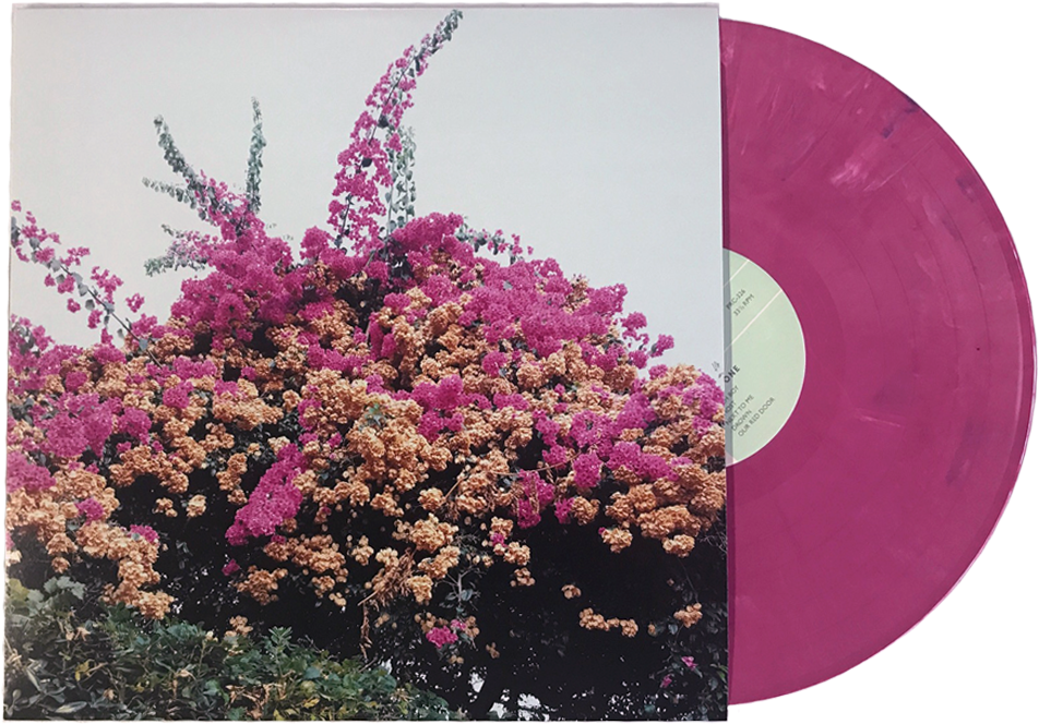 Select One - - Turn Into Jay Som (1000x1000), Png Download