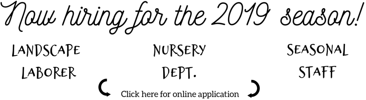 Hiring Now At Herbeins Garden Center Emmaus Pa - Calligraphy (1500x400), Png Download