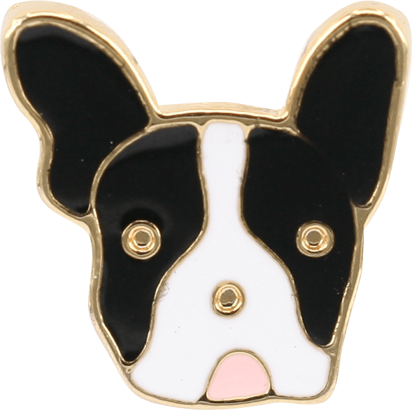 C14485 - French Bulldog (589x587), Png Download