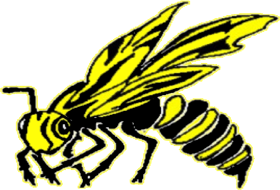 Hackett Hornets (1446x989), Png Download