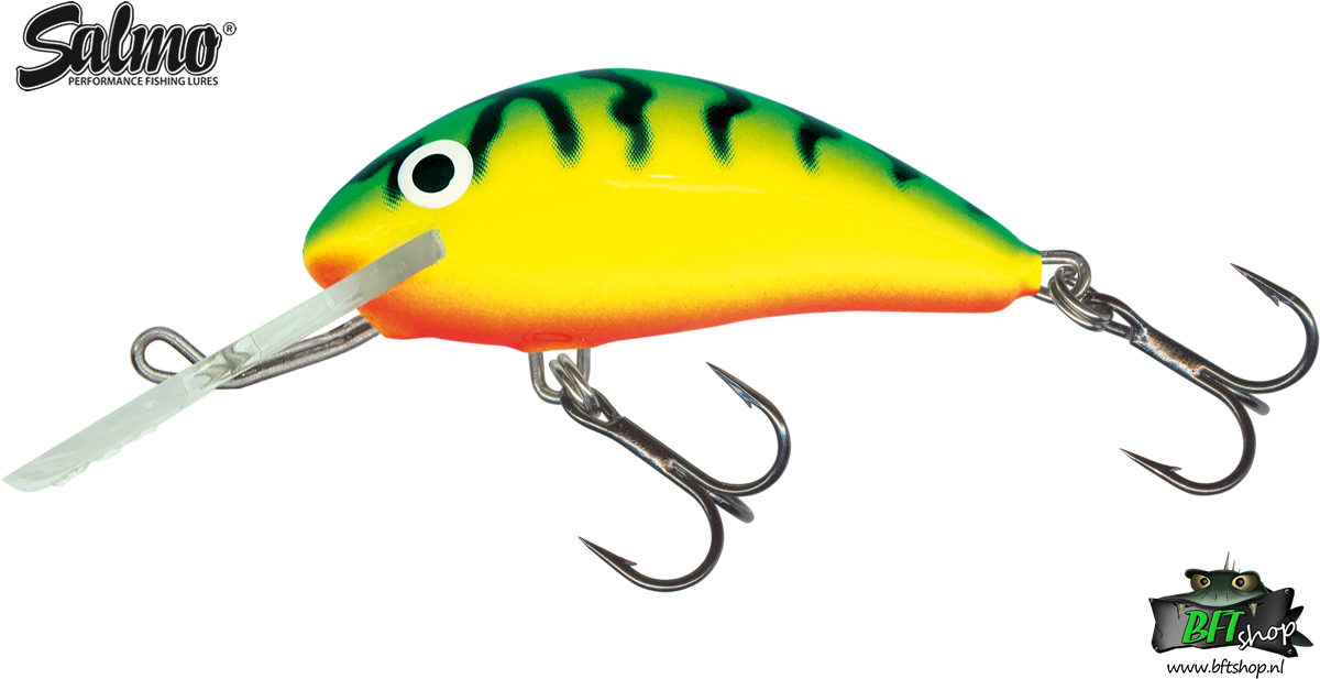 Salmo Hornet Rcr (1200x650), Png Download