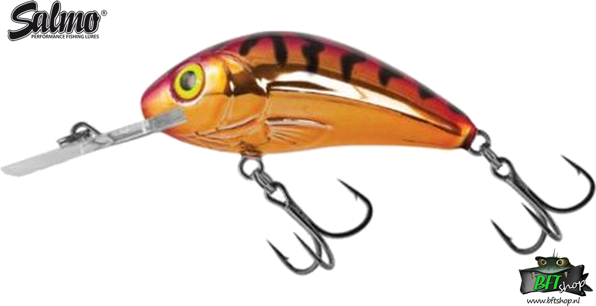 Salmo Rattlin Hornet 5.5 Cm (1200x650), Png Download