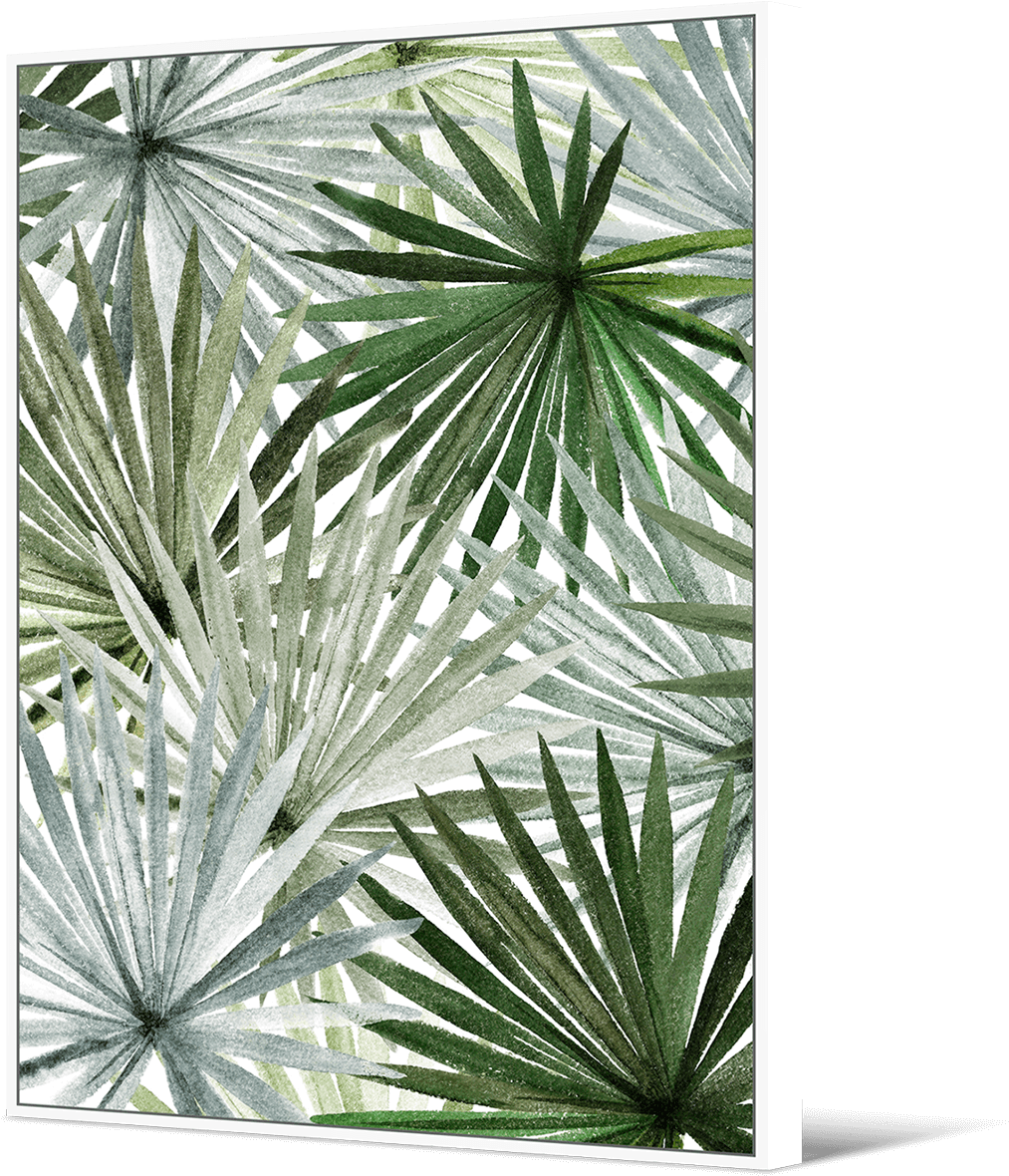 Palm Fronds - Sabal Minor (1032x1181), Png Download