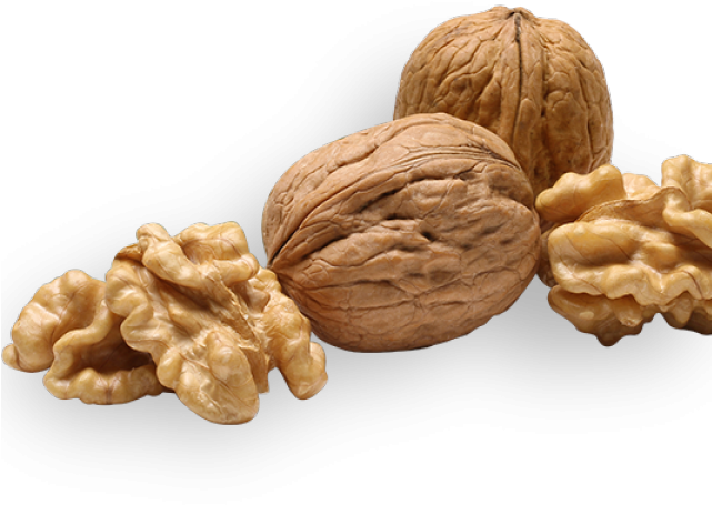 Walnut Png Transparent Images - Walnut (640x480), Png Download