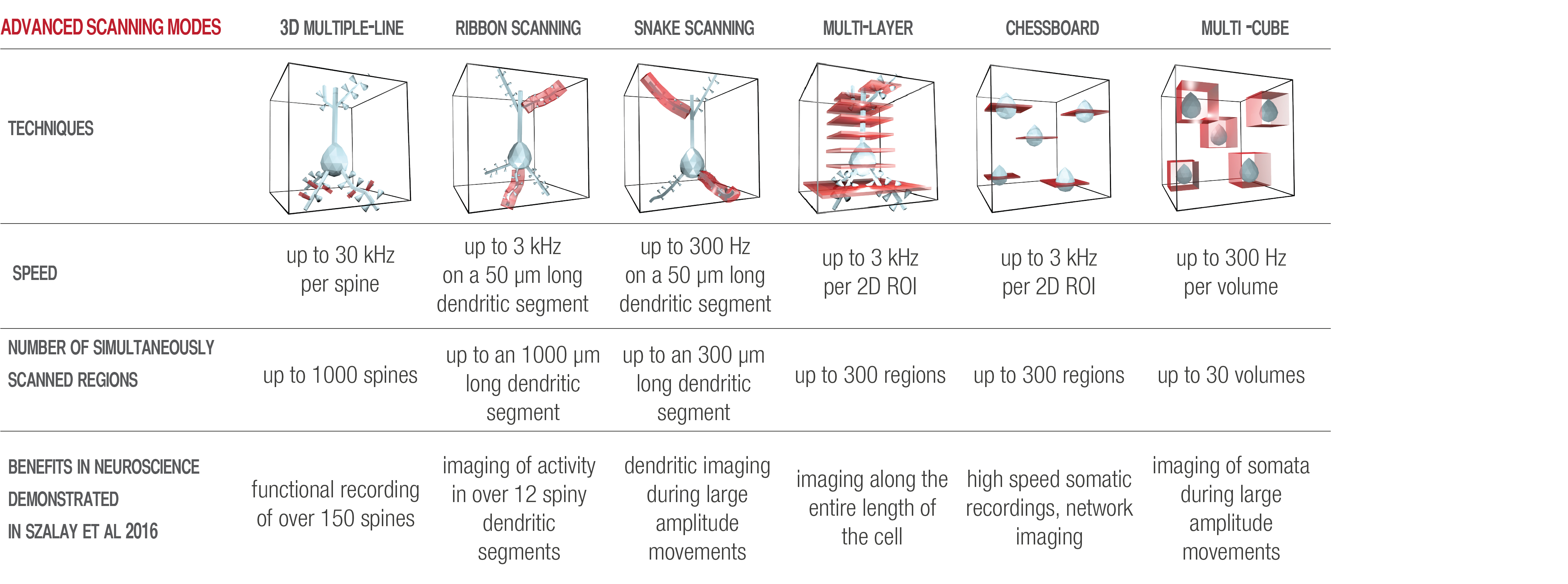 It Therefore Supports Imaging Of Entire Dendritic Segments - Number (4996x1624), Png Download
