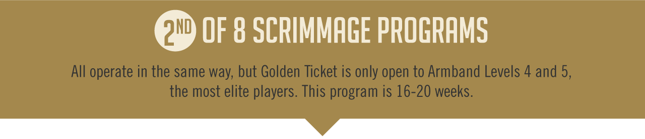 Golden Ticket - James Storm Tna World Champion (1280x277), Png Download