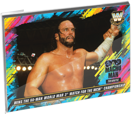 Gallery - Randy Savage Wcw Champion (700x700), Png Download