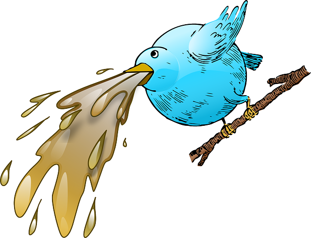 Twitter, Tweet, Bird, Social, Web, Sick, Vomit, Nausea - Vomito Png (640x490), Png Download