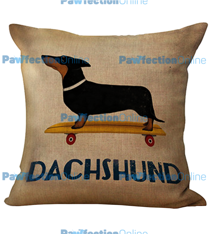 This Cute Vintage Skateboard Dachshund Cushion Cover - Dachshund Longboard (800x800), Png Download