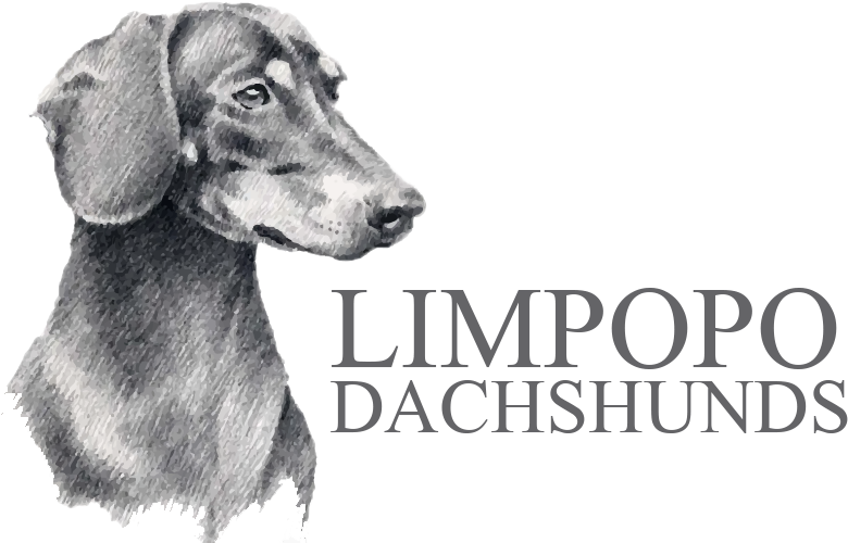 Logo-final - Dachshund T-shirt - Your Dog Name (1080x500), Png Download