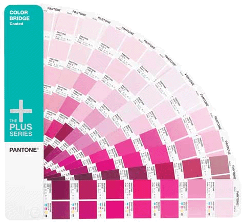 Pantone Plus Series Color Bridge - Pantone Plus Series Color Bridge Coated Printer Color (480x435), Png Download