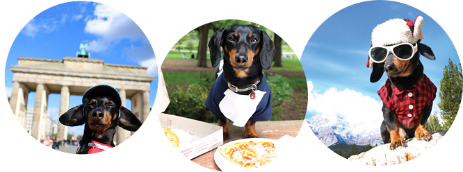 Crusoe Book Bubbles - Brandenburg Gate (666x248), Png Download