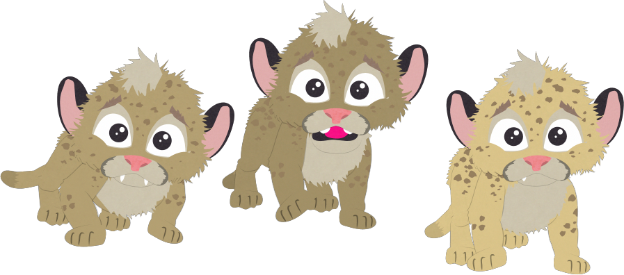 Lion-cubs - Lion (897x396), Png Download