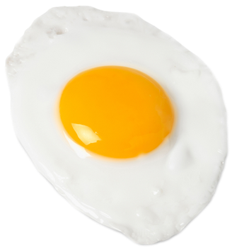 Fried Egg Png - Egg (445x355), Png Download