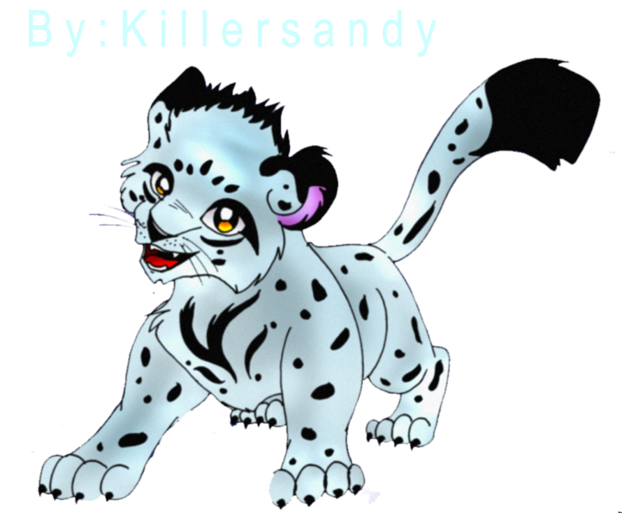 Clipart At Getdrawings Com Free For Personal - Snow Leopard (900x761), Png Download