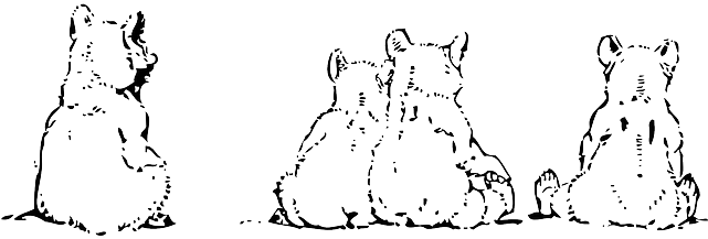 Animals, Little, Wild, Bear, Polar, Grizzly, Cub, Cubs - Black And White Clip Art Bear Cub (640x320), Png Download