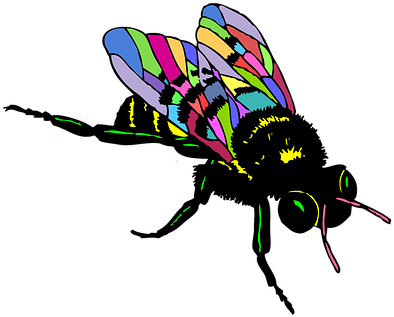 Bee Insect Bug Colorful Bee Bee Bee Bee Be - Black And White Clip Art Of Bee (442x340), Png Download
