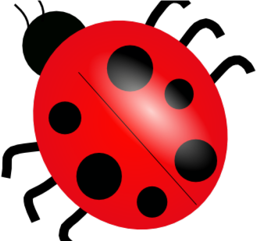 Ladybug Clipart Public Domain Ladybug Clip Art Full Size Png Download Seekpng