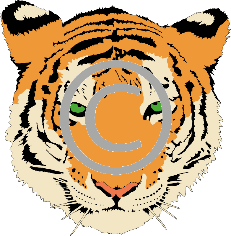 Head Of A Tiger - Transparent Orange Aesthetic (782x800), Png Download