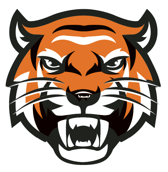 Tiger Head Transparent - Alis Io Skins For Imgur (550x562), Png Download