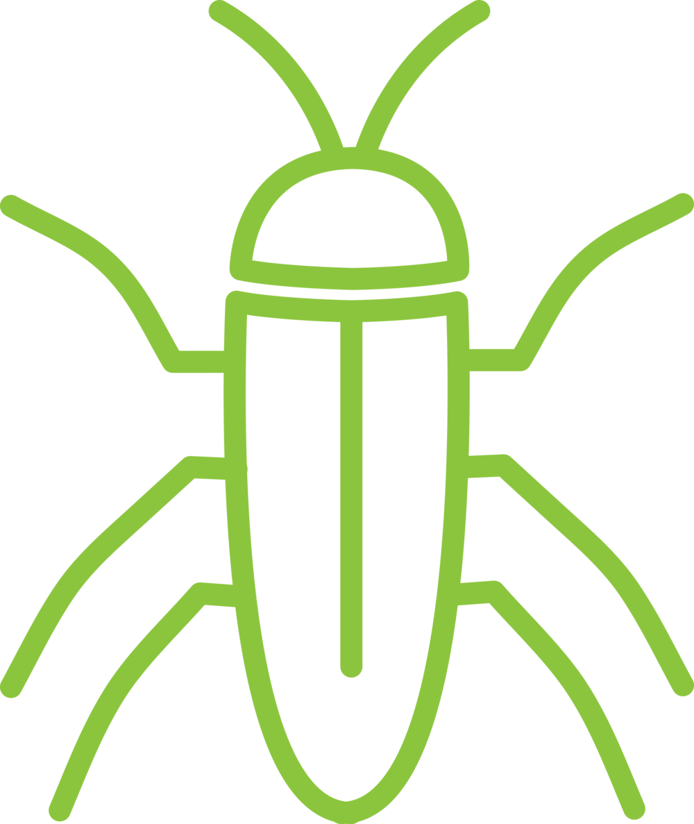 Alta Cockroach Icon - Cockroach (1000x1187), Png Download