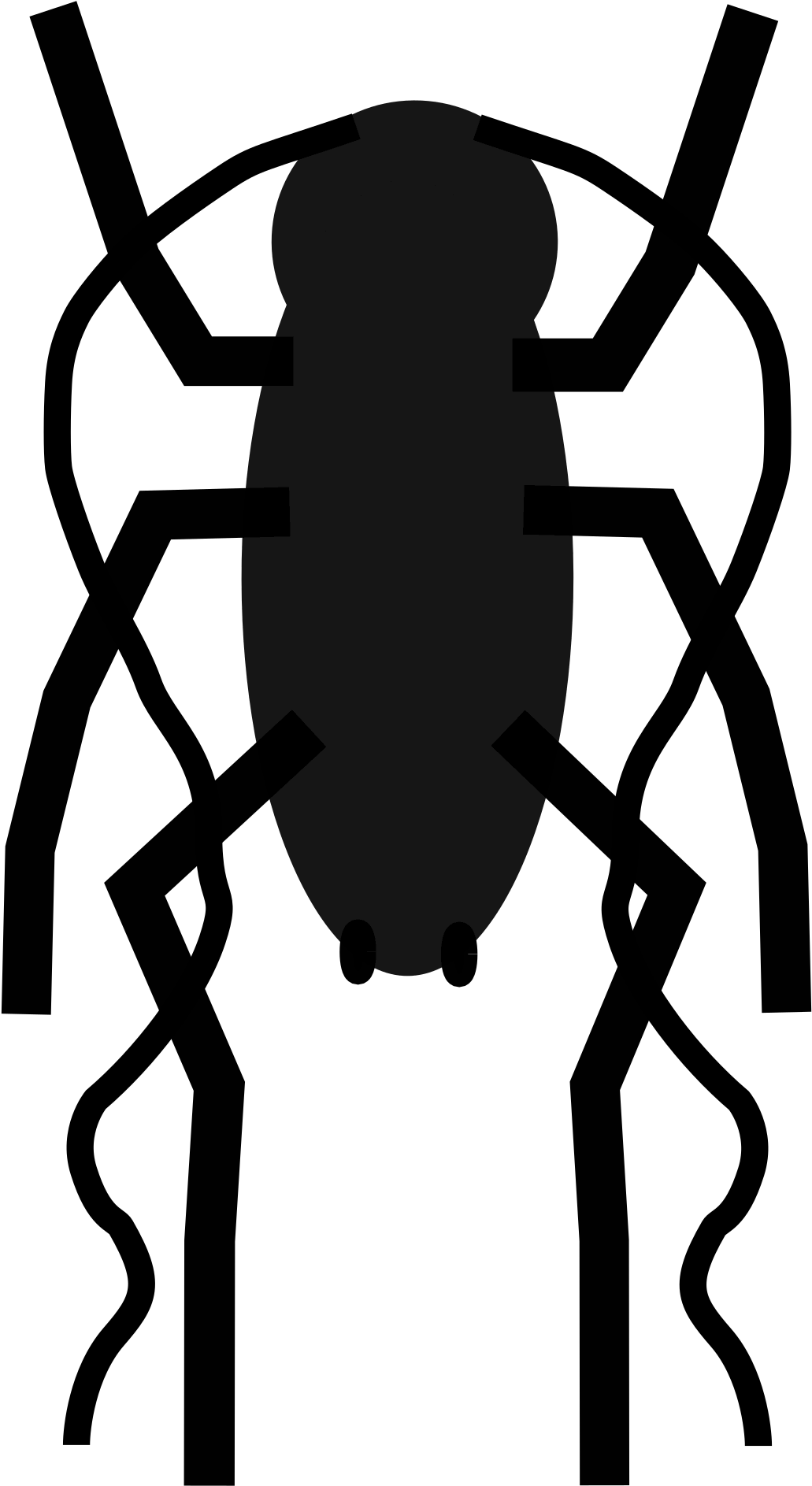 Big Image - Cockroach (1200x2400), Png Download