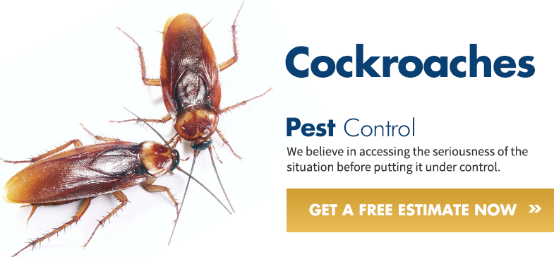 Pest Control Banner Png (785x364), Png Download