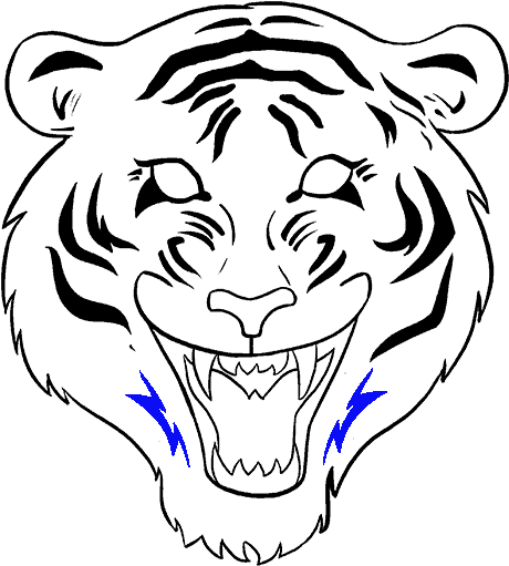 How To Draw A Tiger Face In A Few Easy Steps - Tiger Face Drawing Easy (678x600), Png Download