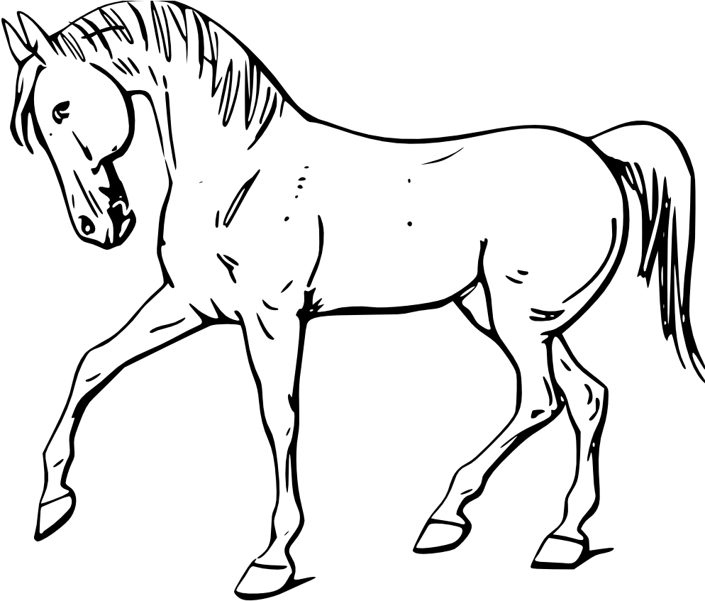 Horse Transparent Black And White - Horse Outline (958x820), Png Download