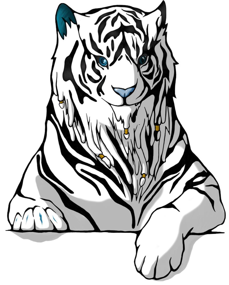 Png Download The White By Thelieutenant On Deviantart - White Tiger Drawing Png (801x998), Png Download