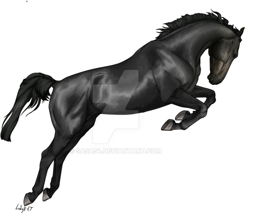 Black Horse - Black Horse Images Hd Png (1010x792), Png Download