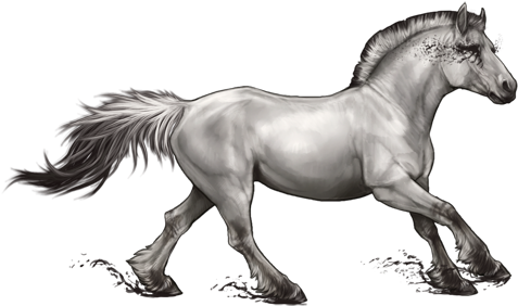 Whitehorseofapocalypse - Lioden White Horse Of Pestilence (500x301), Png Download