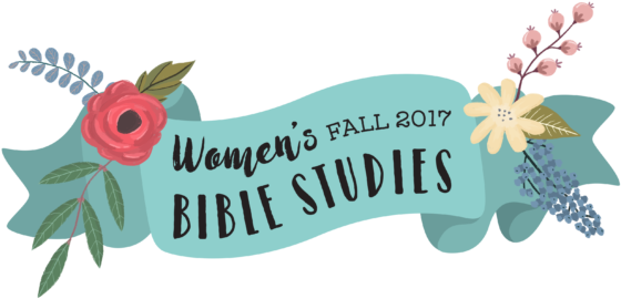 We Are Currently Wrapping Up Our Spring Bible Studies - Bible (590x289), Png Download