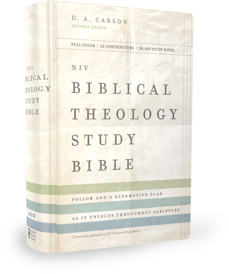 Niv Biblical Theology Study Bible Shadow - Theology (754x880), Png Download