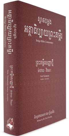 Bible Study - Bible (300x500), Png Download