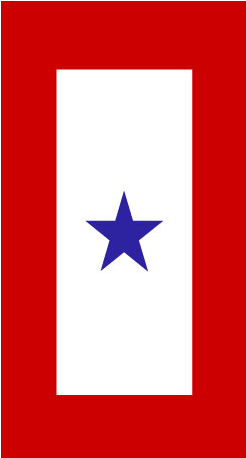 Lake Erie Ny4 Blue Star Mothers Of America - Two Blue Star Flag (466x466), Png Download