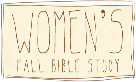 Picture - Bible (490x283), Png Download