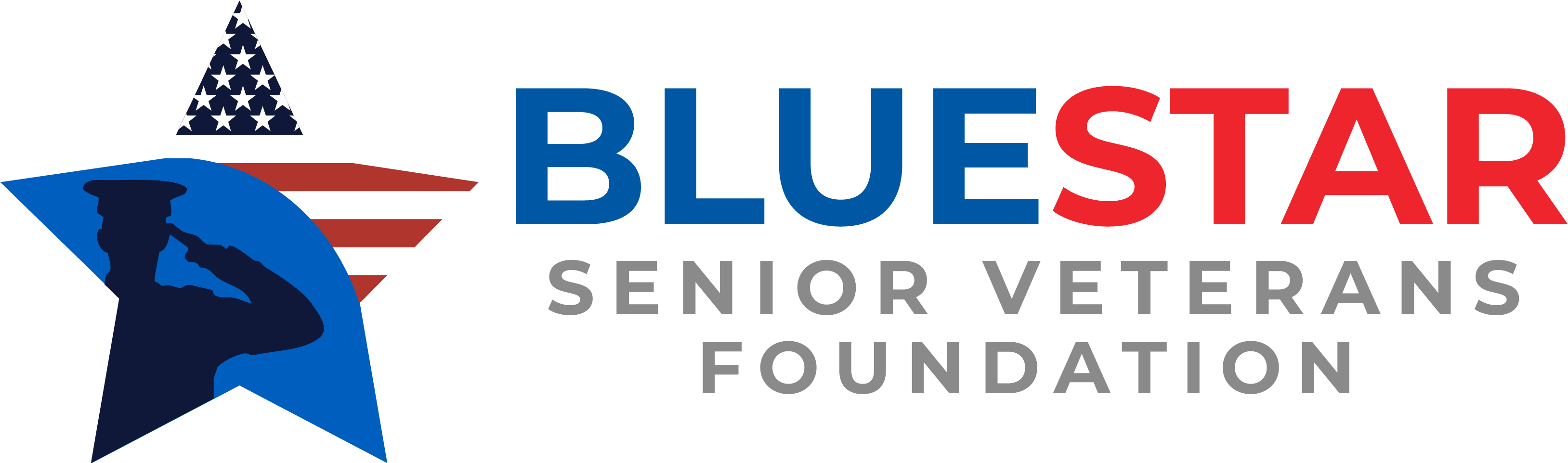 Blue Star Senior Veterans Foundation - Veteran (3255x1090), Png Download