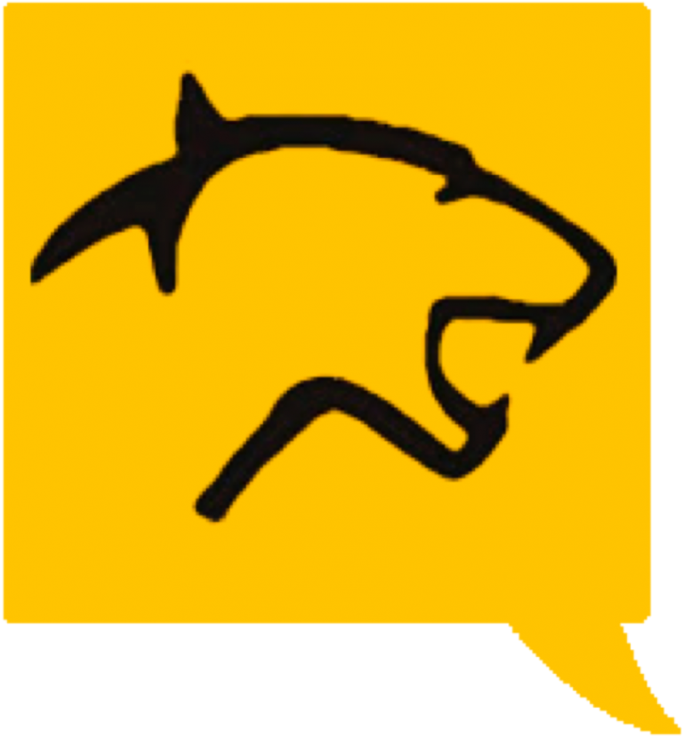 Panther Clipart Yearbook - Derby Panthers (869x900), Png Download