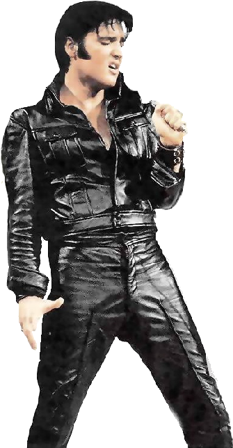 Elvis Presley-elvis - (import Dvd) (361x650), Png Download