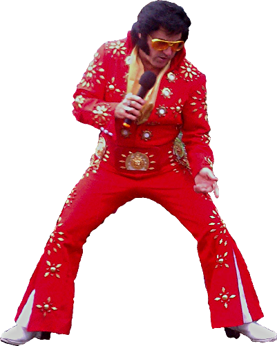 Website Designed At Homestead™ Design A Website And - Rick Torres Elvis (401x500), Png Download